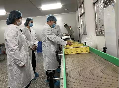 同心抗疫，，，，，，，，确保质量！PP电子5金狮公司振隆厂外车间接受广药集团生产监视包管小组事情督导